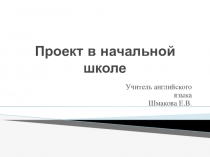 Презентация проектной деятельности в начальной школе