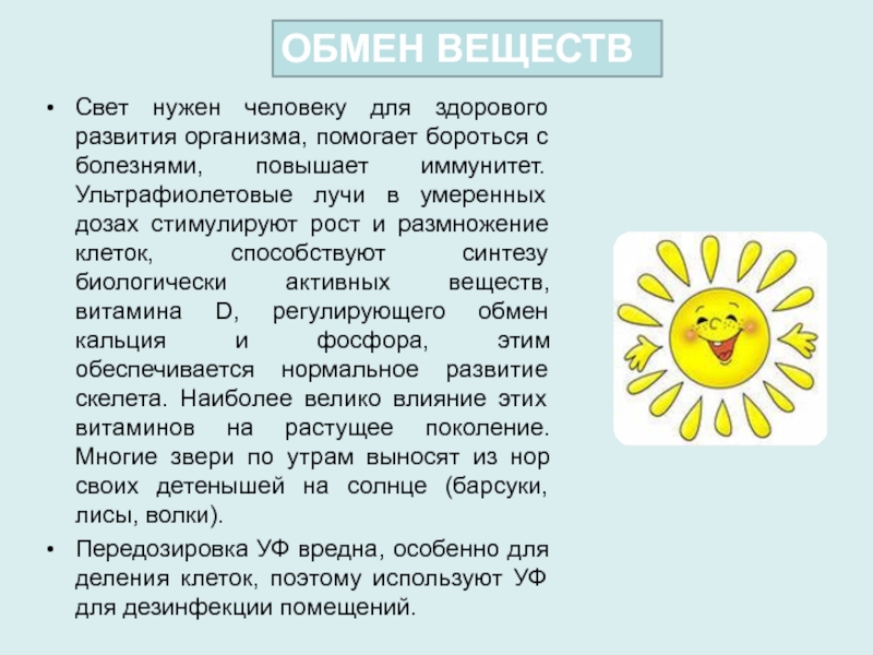 Какое значение для живого. Значение света для живых организмов. Роль света в жизни живых организмов. Значение света для человека. Значение света в жизни организмов.