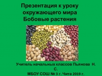 Презентация по окружающему миру на тему Бобовые культуры