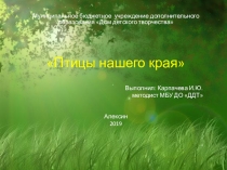 Презентация Птицы нашего края
