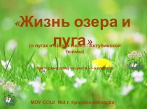 Викторина для учащихся 5-6 классов