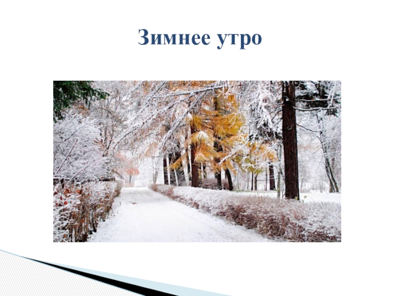 Чайковский зимнее утро. П И Чайковский зимнее утро. Пьеса Чайковского зимнее утро. Чайковский детский альбом зимнее утро. Зимнее утро Чайковский иллюстрации.