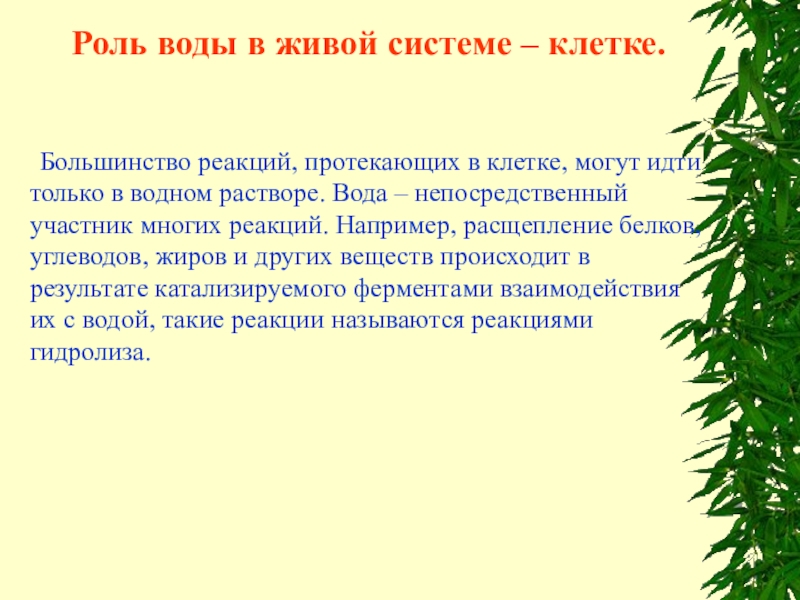 Какова роль клеток в жизни. Роль воды в живой системе клетке. Роль воды в живых системах. Роль водв в живо системы клетки. Роль воды в жизни клетки.