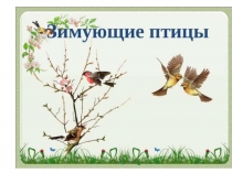 Презентация по биологии на тему Зимующие птицы нашей местности (7 класс)