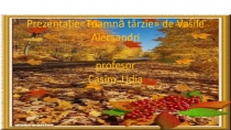 Prezentație la limba română pe temaToamnă târzie clasa 5-a