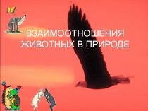 Презентация по биологии на тему Взаимоотношения живых организмов в природе