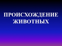 Презентация по биологии по теме: Происхождение животных