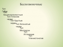 Презентация Беспозвоночные для подготовки к ГИА