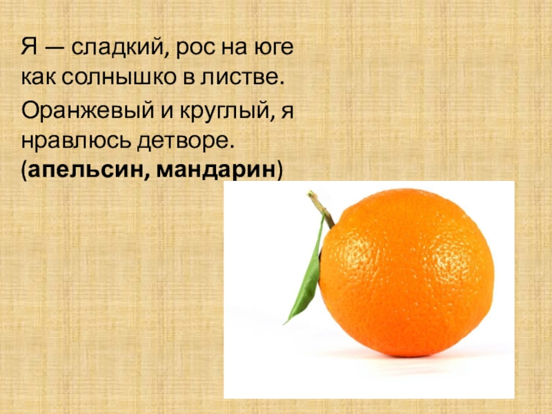 Сладкий рос. Я сладкий рос на юге как солнышко в листве. Я сладкий рос на юге апельсин. Загадки я сладкий рос на юге как солнышко. Оранжевый круглый.