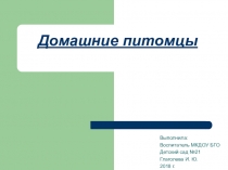 Презентация для дошкольников на тему Домашние питомцы.