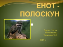Интересное из жизни животных: Енот- полоскун. Группа 1-2 класс.