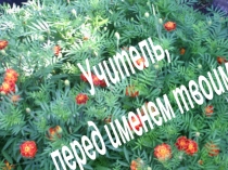 Презентация к сценарию на День учителя