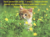 Урок развития речи. 1 класс . Закрепление ранее изученных букв и действий с ними. Знакомство с кошками.