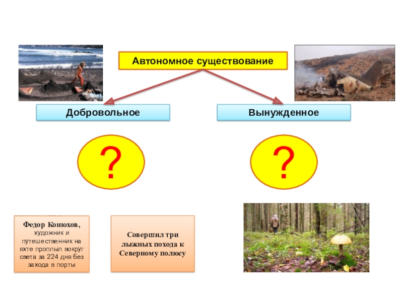 Вынужденная автономия проект