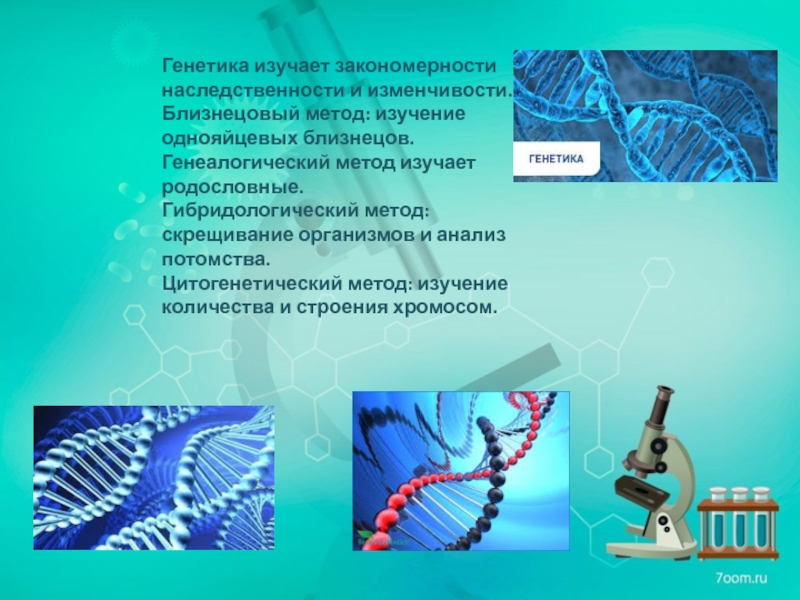 Что изучает генетика. Закономерности наследственности и изменчивости. Генетика закономерности наследственности и изменчивости. Генетика изучает закономерности. . Закономерности наследственности и изменчивости изучает: генетика.