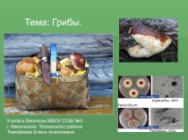 Презентация по биологии на тему Шляпочные грибы (6 класс)