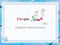Презентация к классному часу Скоро лето. Правила безопасности.