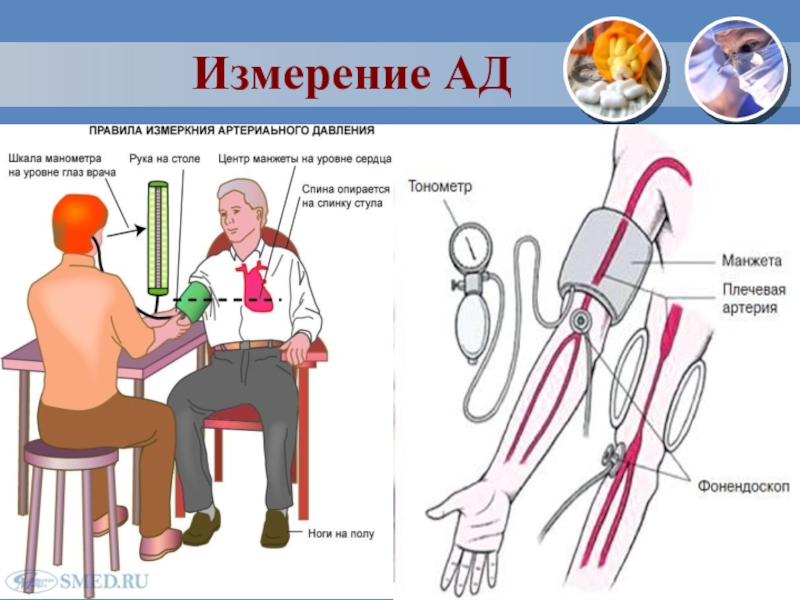 Алгоритм измерения артериального давления сестринское дело. Измерение артериального давления алгоритм действий сестринское дело. Порядок измерения артериального давления. Измерение давления памятка. Измерение артериального давления алгоритм манипуляции.