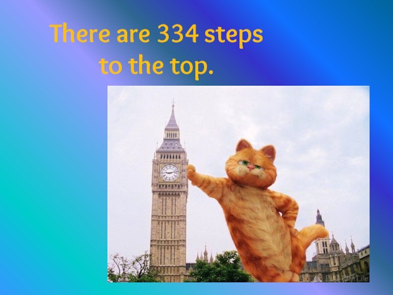 There are 334 steps to the top.