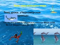 Презентация к уроку окружающего мира в 3 классе  Черноморское побережье