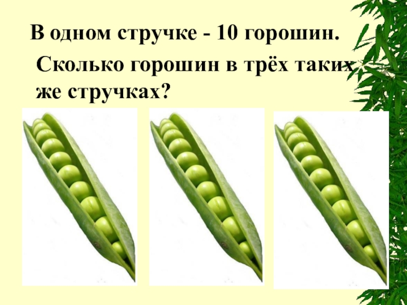 Сколько гороха на 3. Сколько горошин в стручке. Стручок гороха 10 горошин. Сколько горошин в стручке гороха. Горошины на стручках задание.