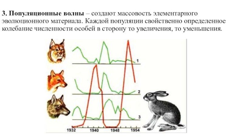 Колебания численности популяции презентация