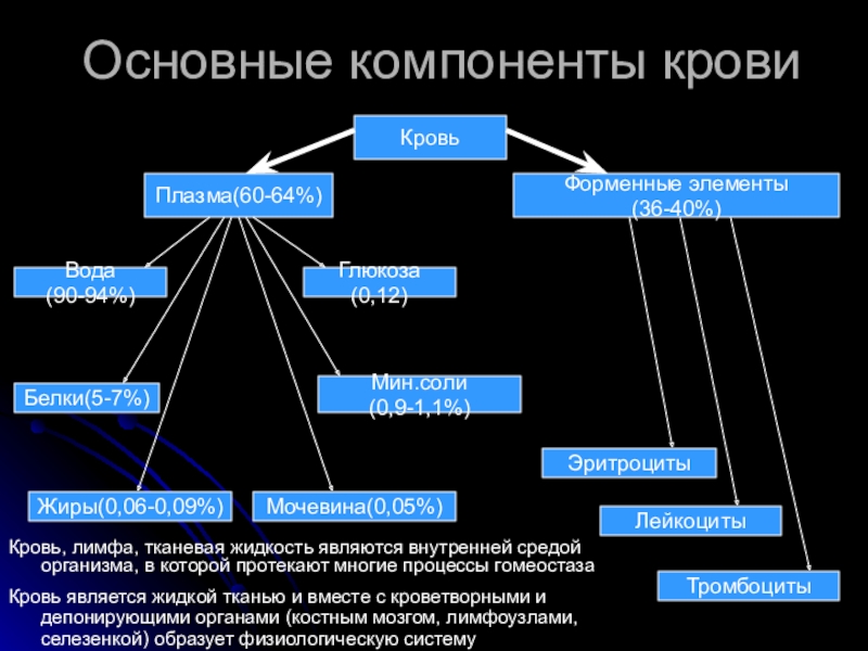 Является внутренней