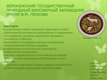 Презентация Воронежский государственный биосферный заповедеик
