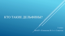 Презентация Кто такие дельфины