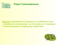 Презентация по уроку биология Голосеменные