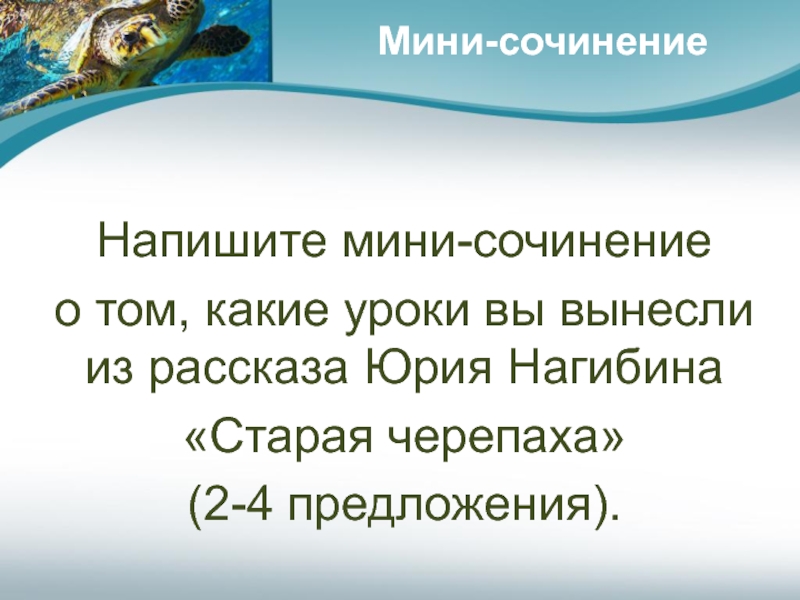 Уважение к человеку сочинение нагибин. Нагибин Старая черепаха сочинение. Сочинение по тексту Старая черепаха. Сочинения по рассказу Старая черепаха. Мини-сочинение "какие уроки вынес герой из уроков Лидии Михайловны"..