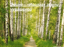 Эмине - Иволга земли чувашской