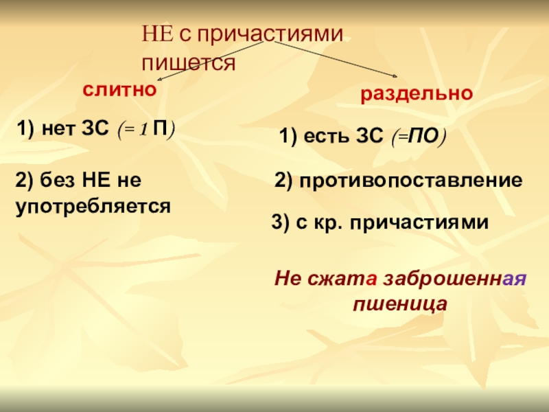 НЕ с причастиями пишетсяслитнораздельно1) нет ЗС (= 1 П)1) есть ЗС (=ПО)2) противопоставлениеНе сжата заброшенная пшеница2) без