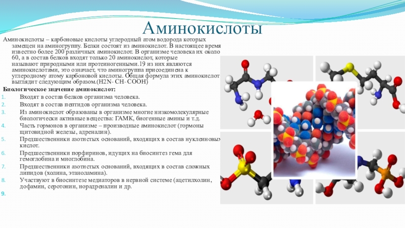 Аминокислоты белка виды