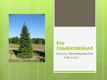 Презентации детей к конференции Неделя науки