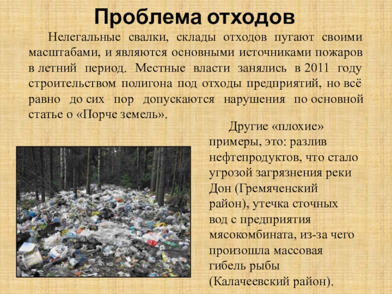 Год экологии отходы. Сообщение о экологических проблемах. Доклад на тему экология.