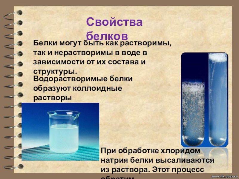 Солевые и щелочные жидкости. Белки растворимы в воде. Растворение белков в воде. Белки образуют коллоидные растворы. Растворимость белков в воде.