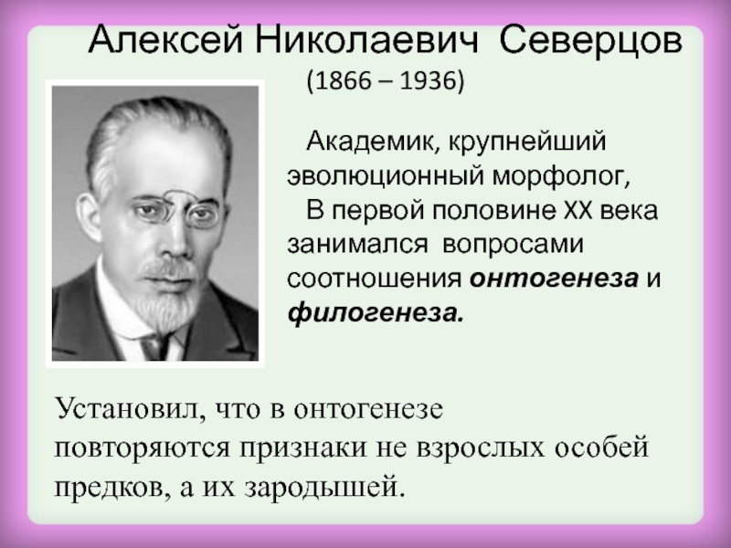 Алексей Николаевич Северцов (1866 – 1936)  Академик, крупнейший эволюционный морфолог,  В первой половине XX века