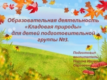 Образовательная деятельность Кладовая природы для детей подготовительной группы.