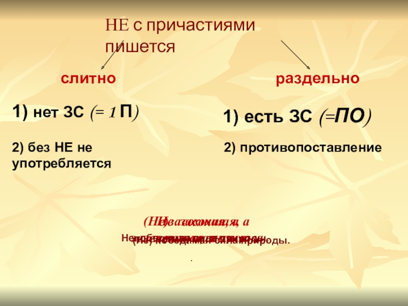 НЕ с причастиями пишетсяслитнораздельно1) нет ЗС (= 1 П)1) есть ЗС (=ПО)(Не)засохшая, а зеленеющая листва.Не засохшая, а