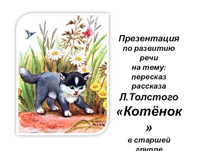 Рассказ котенок 2. Толстой котёнок презентация. Текст Толстого котенок. Рассказ Толстого котенок текст. Презентация на тему толстой котенок.