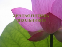 Презентация для классного часа Личная гигиена