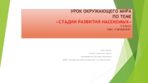 Презентация по окружающему миру на тему Стадии развития насекомых (3 класс)