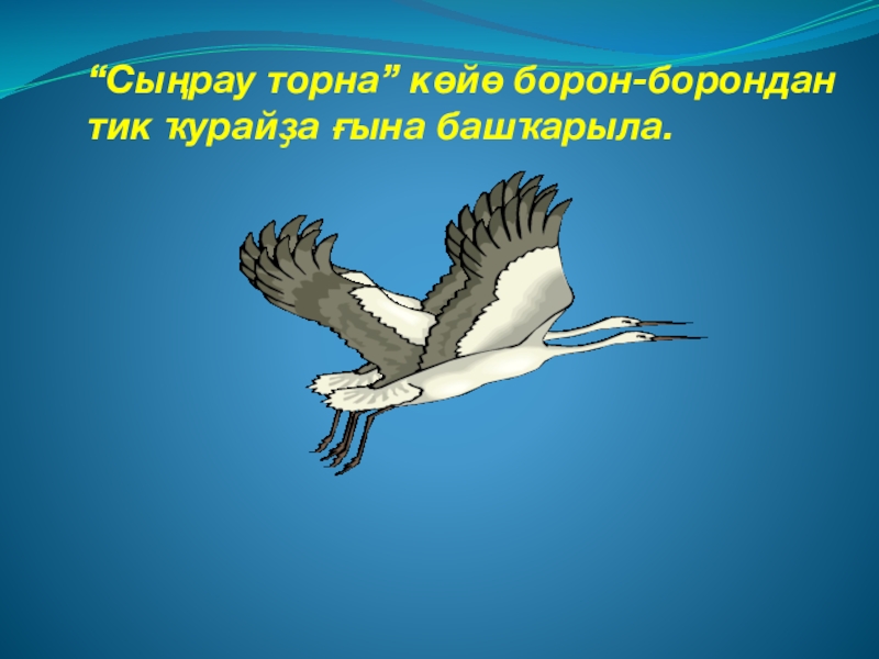 Торна перевод на русский. Сыңрау Торна. Сынрау Торна рисунок. Журавлиная песнь Башкирская Легенда. Сынрау Торна на курае.