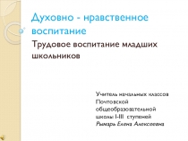 Презентация к уроку нравственности на тему Землю красит солнце, а человека труд (2 класс)