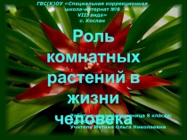 Презентация по С/Х труду на тему Роль комнатных растений в жизни человека