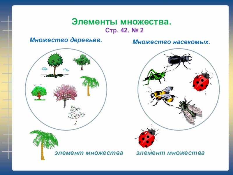 Схема деревья насекомые птицы