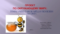 Презентация. Исследовательский проект по теме Что такое мёд и полезен ли он?