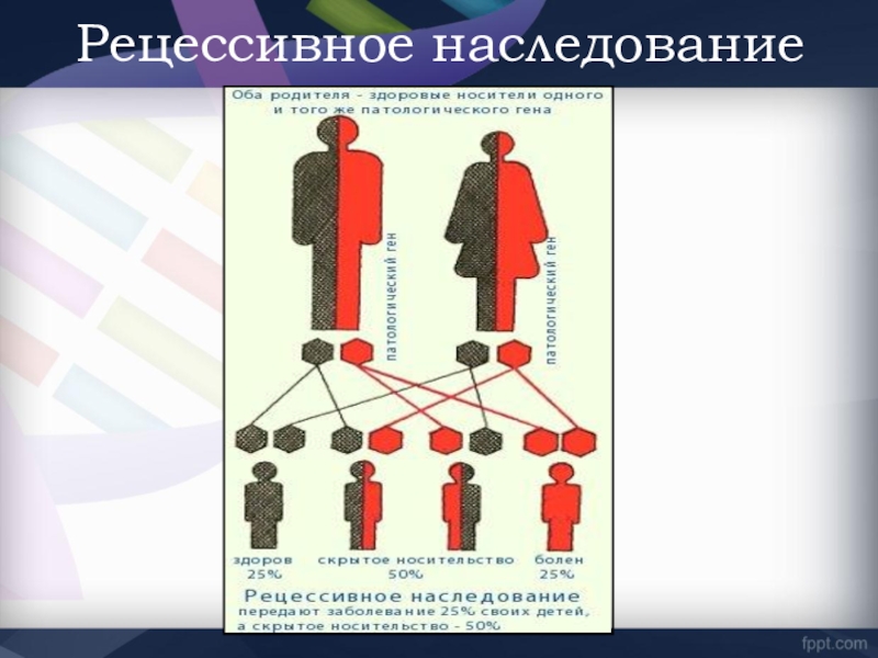 Рецессивный организм. Рецессивный ген и доминантный ген. Рецессивное наследование. Доминантные и рецессивные гены. Доминантное и рецессивное наследование у человека.