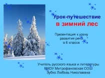 Презентация к уроку-путешествию В зимний лес